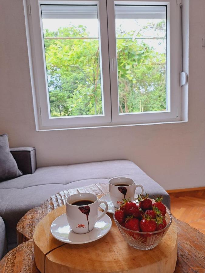 Guest House Green River Ljubuski Ngoại thất bức ảnh